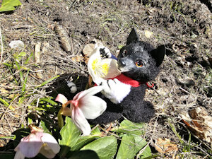 Enjoying the flowers