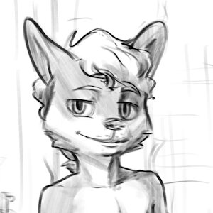 (Patreon) Towel