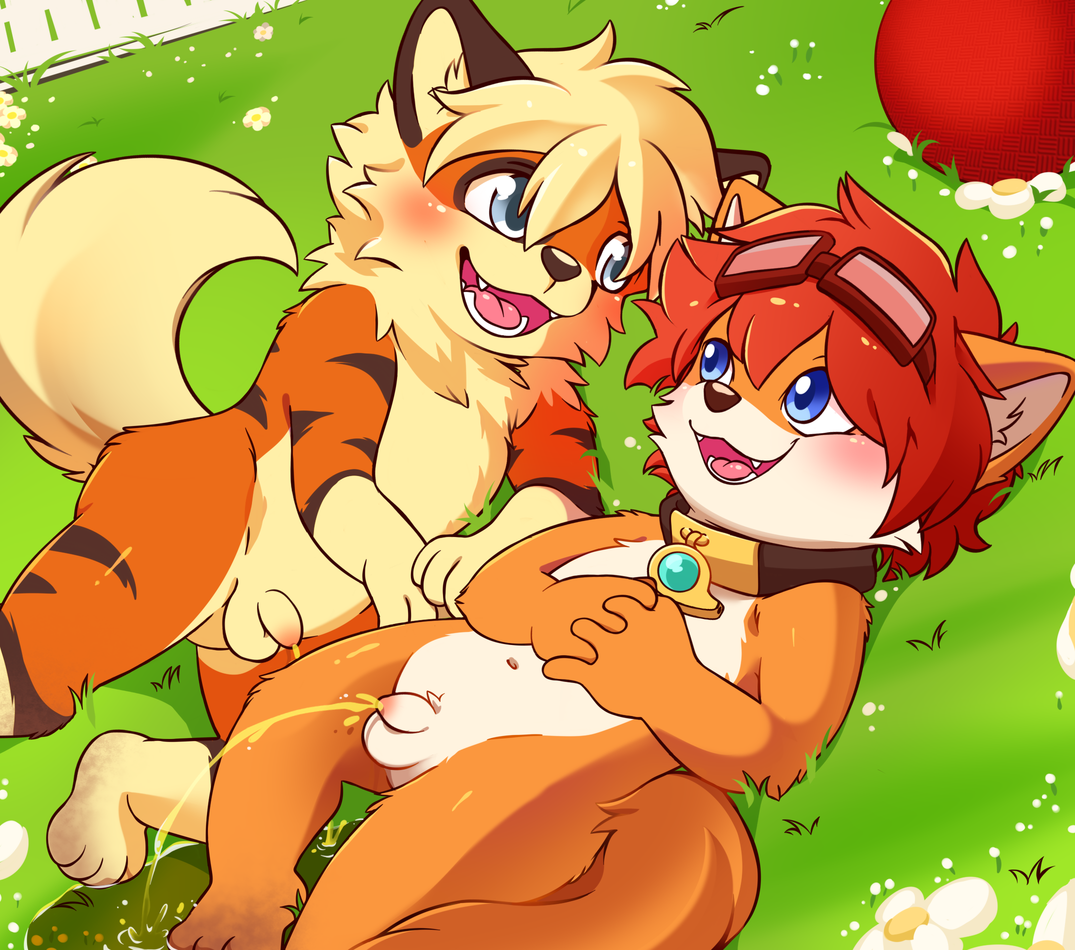 4425981_CookieFoxBrandon_cookie2.png