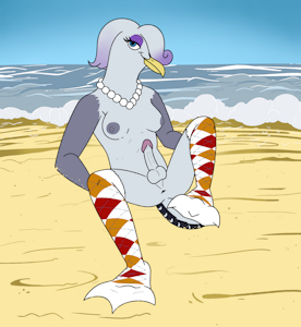 Bird of the Beach
