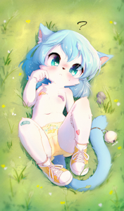 Catnip Kitten