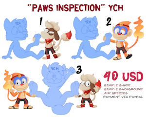 PAW INSPECTION YCH