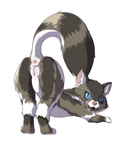 Sweet Shalquoir wants your dick