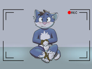 4439698_CloudHusky_cat_trap_-_original.jpg