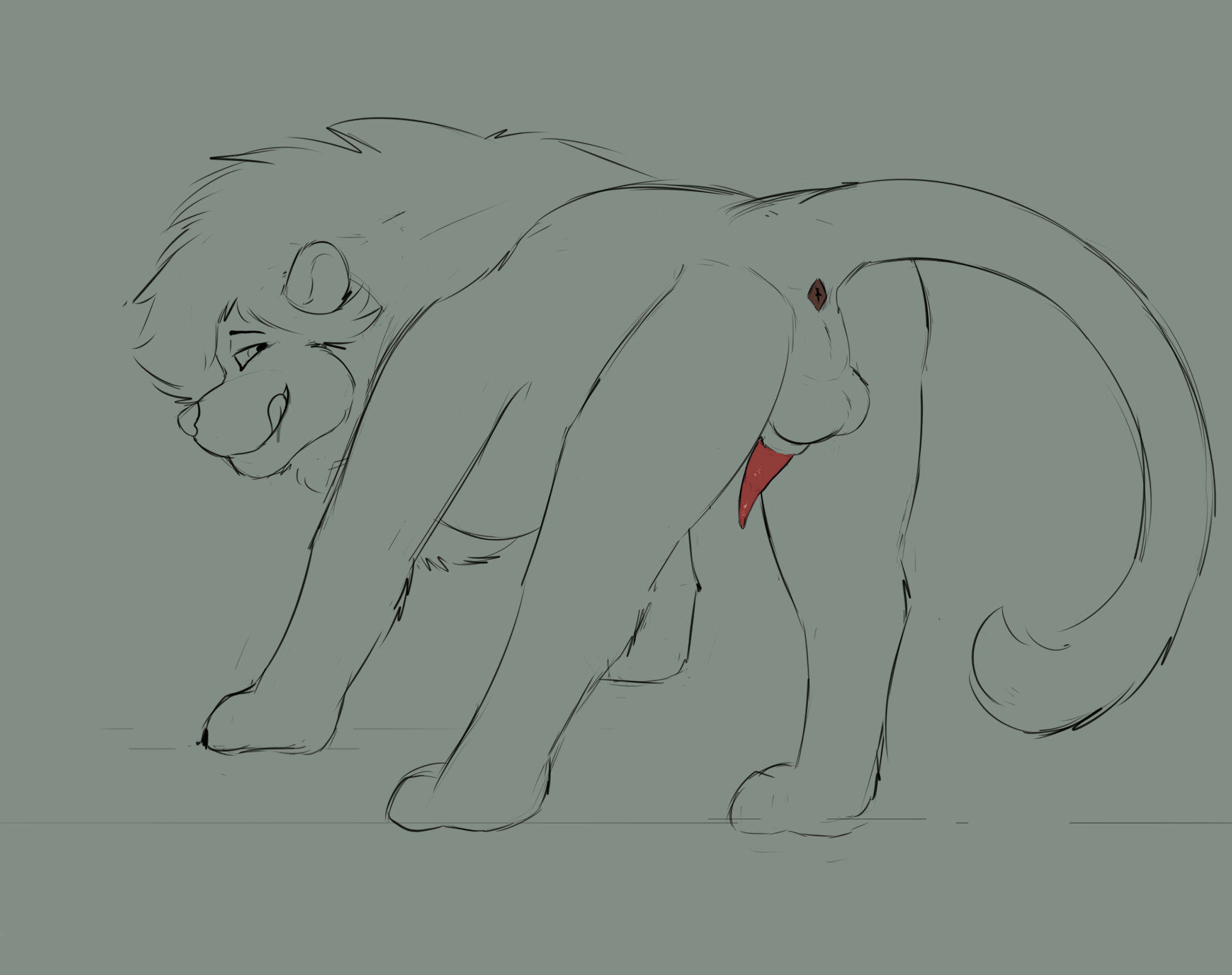 4442206_OnyKR_sketch_lion.png