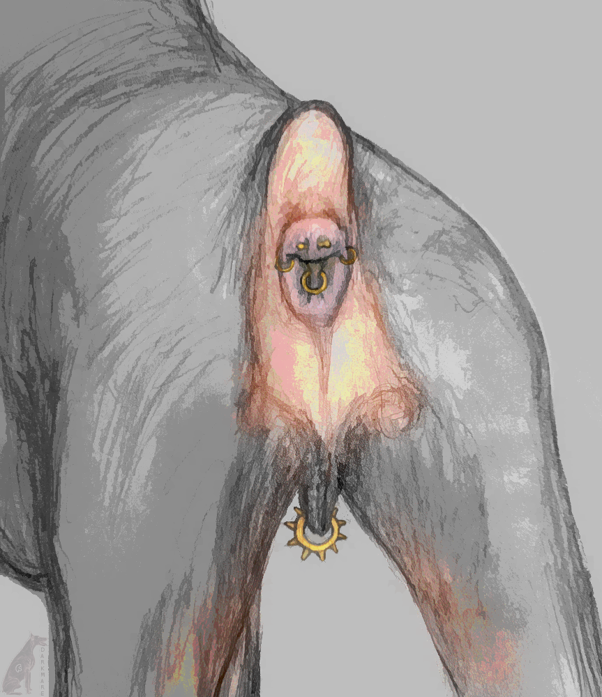 4444130_darkmare_dtf.png