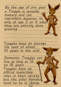 Frieda Fieldmouse Wildlife Sexplorer page 2