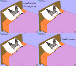 Morning Startup