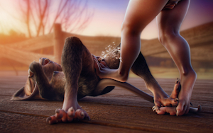 A world of pawsibilities