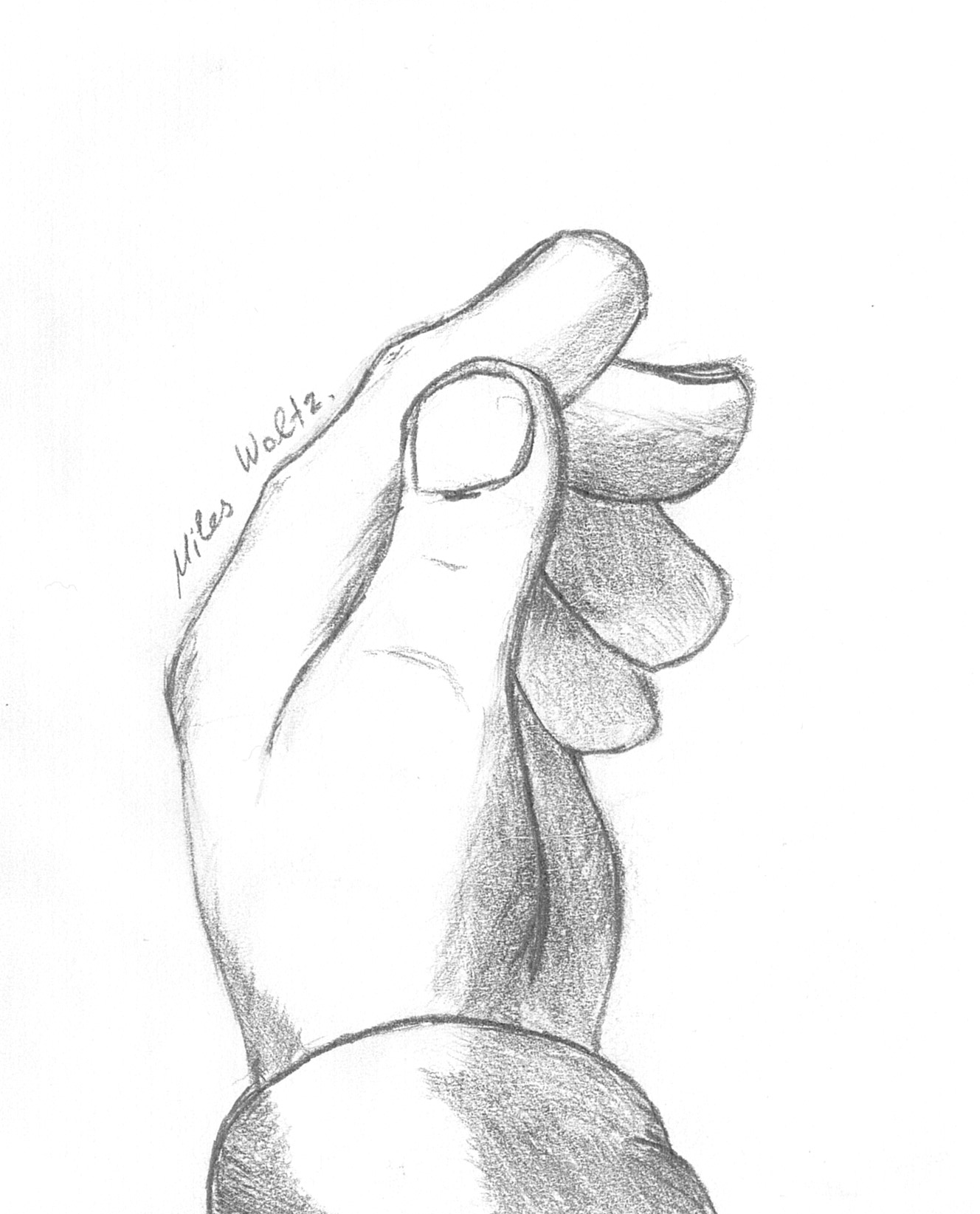 4454054_MilesWaltz_april_2023_-_sketch_5.png