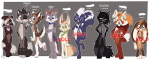 *ADOPTABLES*_More fuzzy friends!