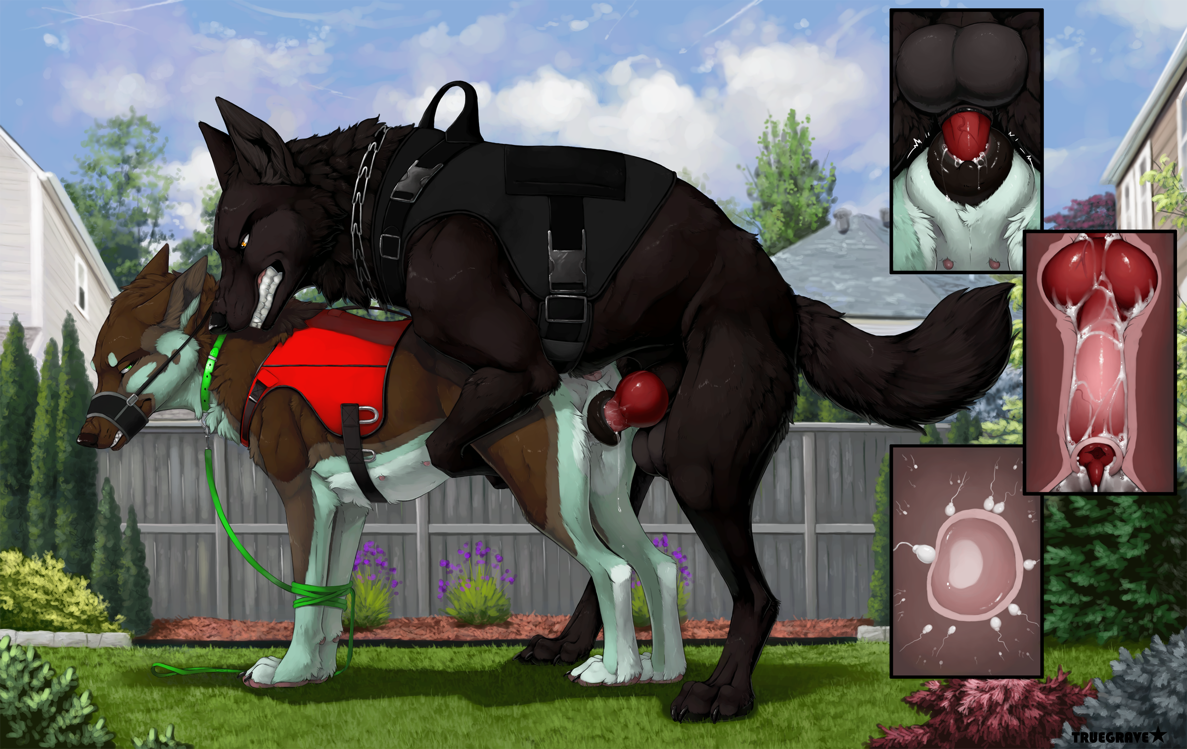 4459421_Truegrave9_askarii_noncon_sheppermint_final_color_small.png