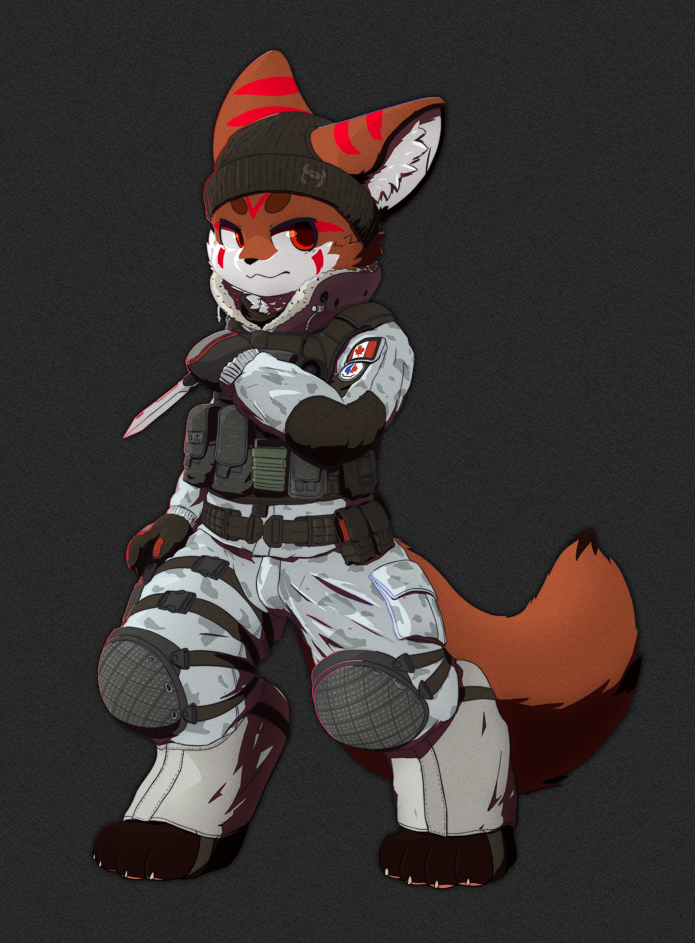 4459861_AFoxNamedFox__b.png