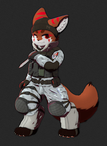 4459861_AFoxNamedFox__b.png