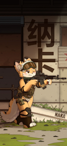 Naka/纳卡