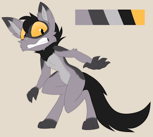 Raccoon Husky Adopt OPEN
