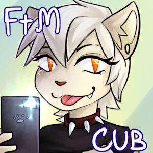 Fitte (commission)