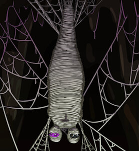 4463618_BSW100_blackcocoon3.jpg