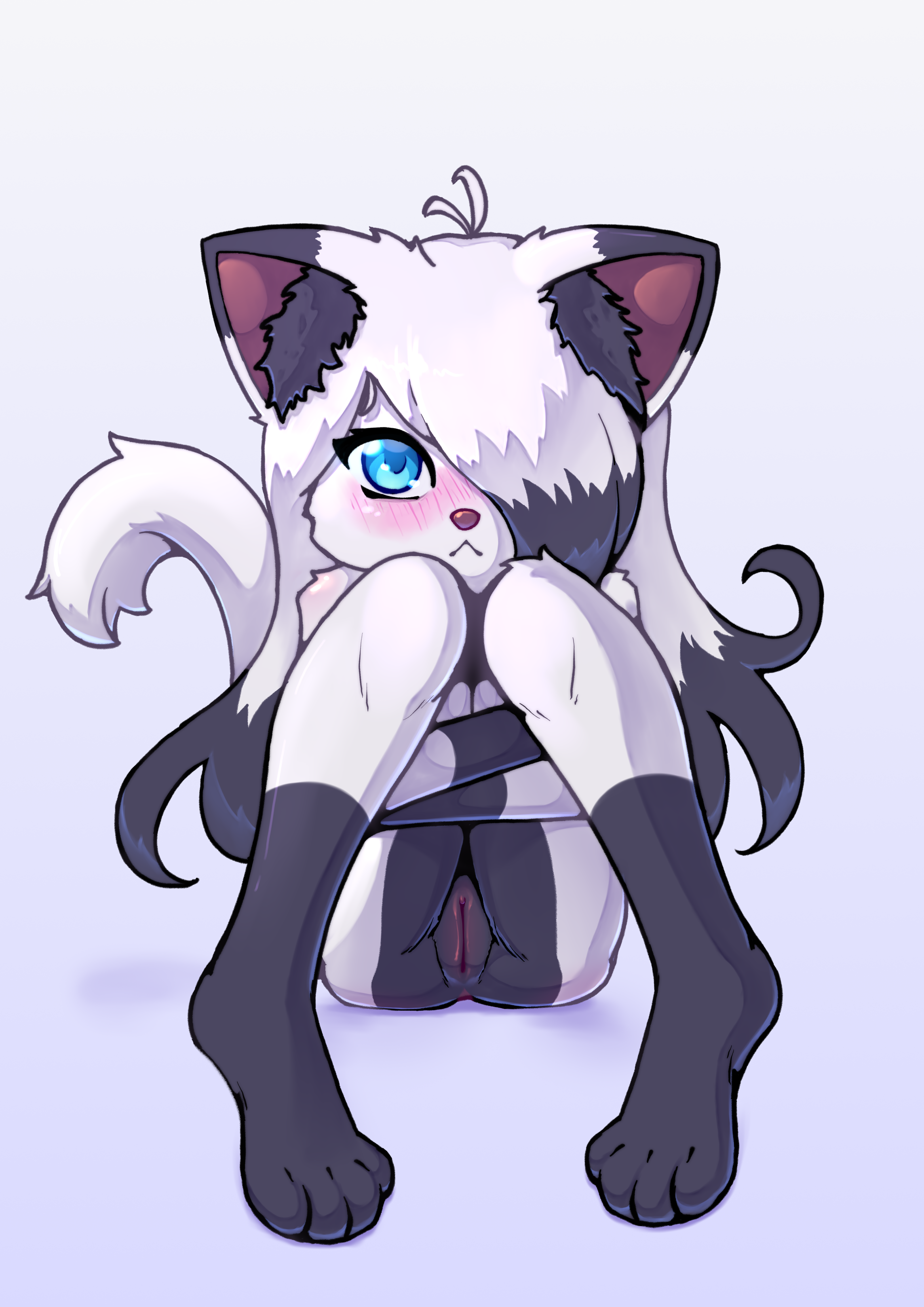 4469176_Ninon_lily_v2.png