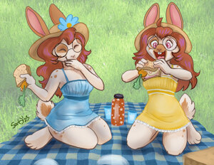 Picnic