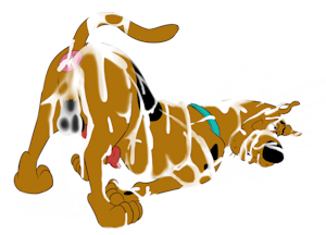 4474990_Magzol_dtz_3_28_23_2_c.png