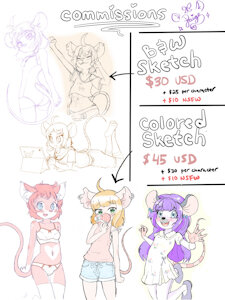 Commission Sheet