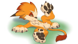 Moomba (pawday)