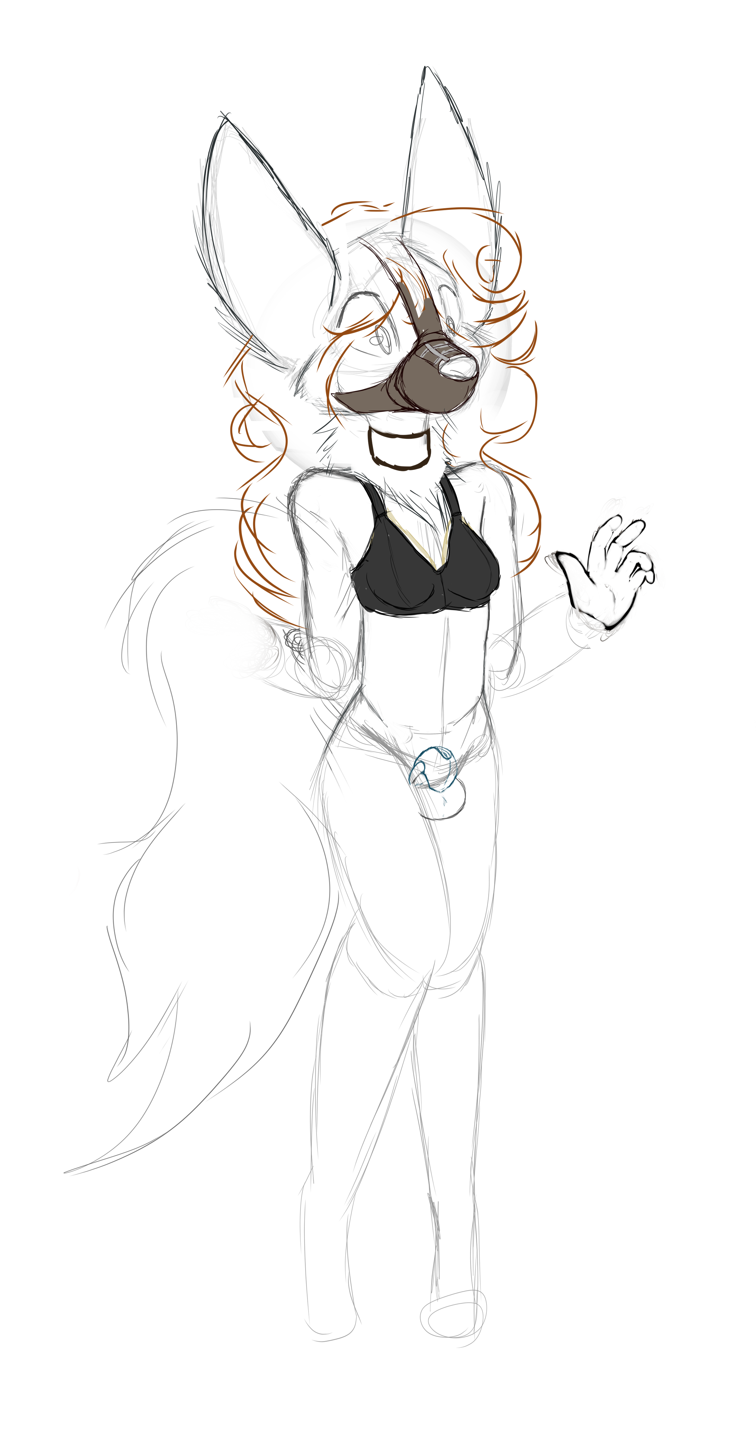 4482001_Smolfoks_maned3.png