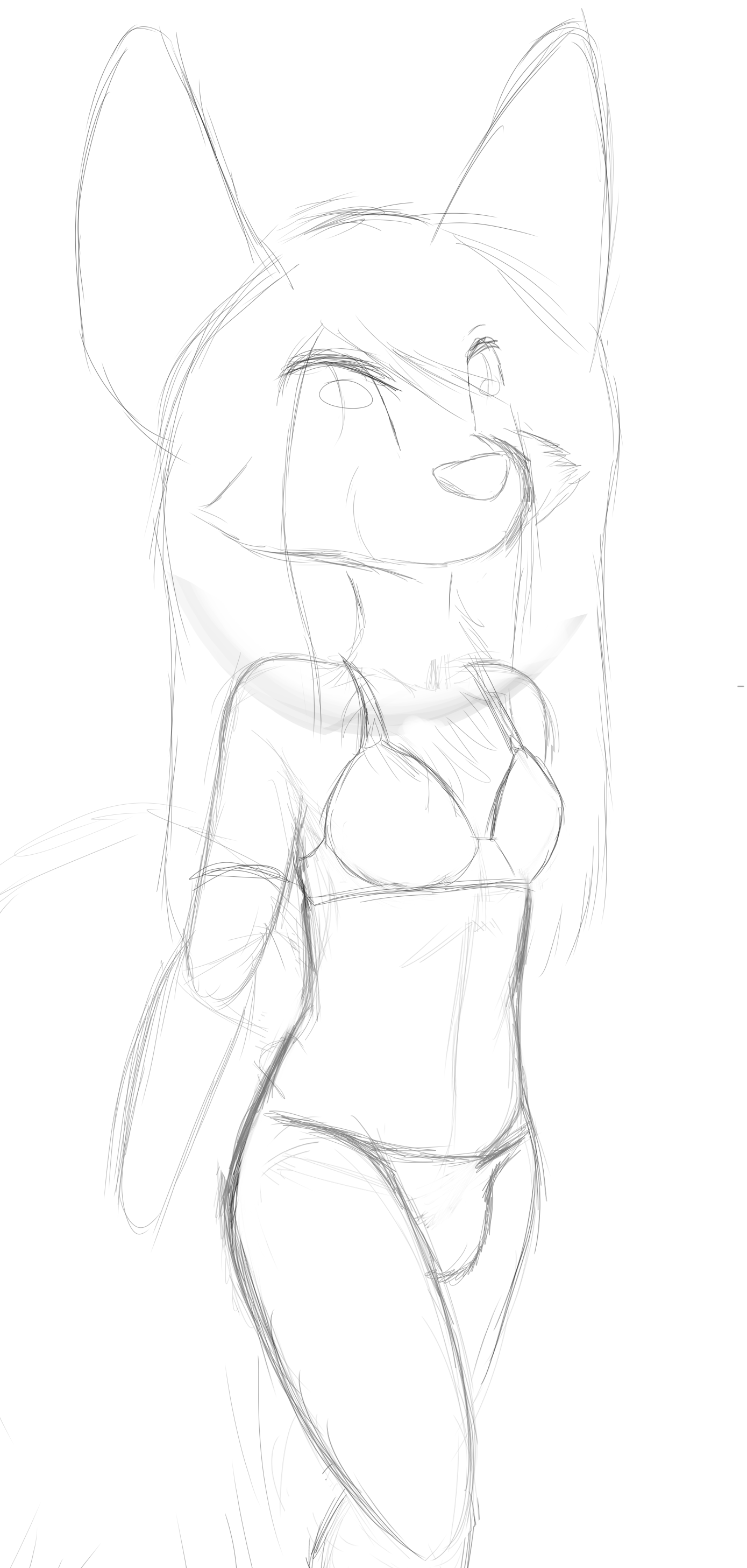 4482012_Smolfoks_skylarsketcho2.png