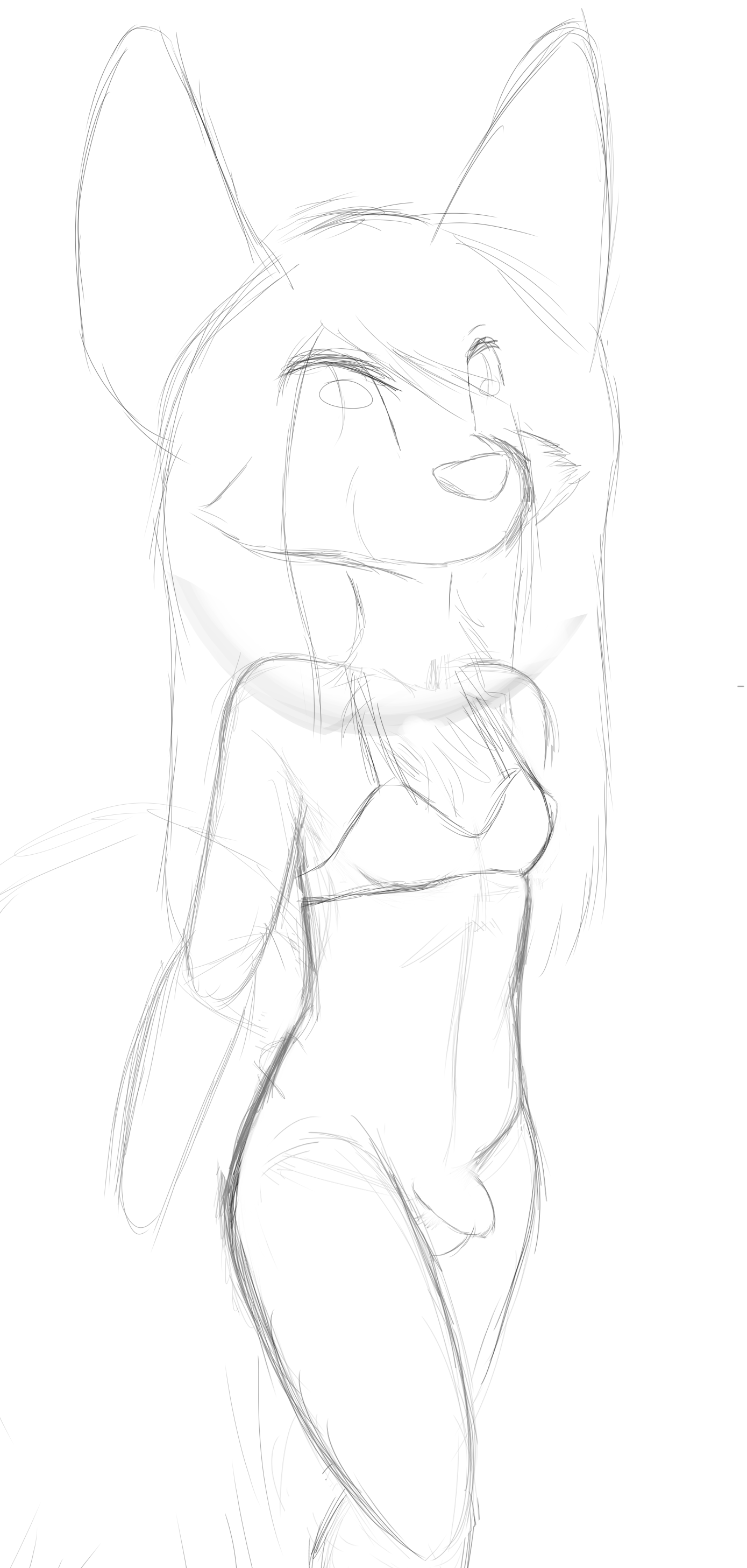 4482013_Smolfoks_skylarsketcho3.png