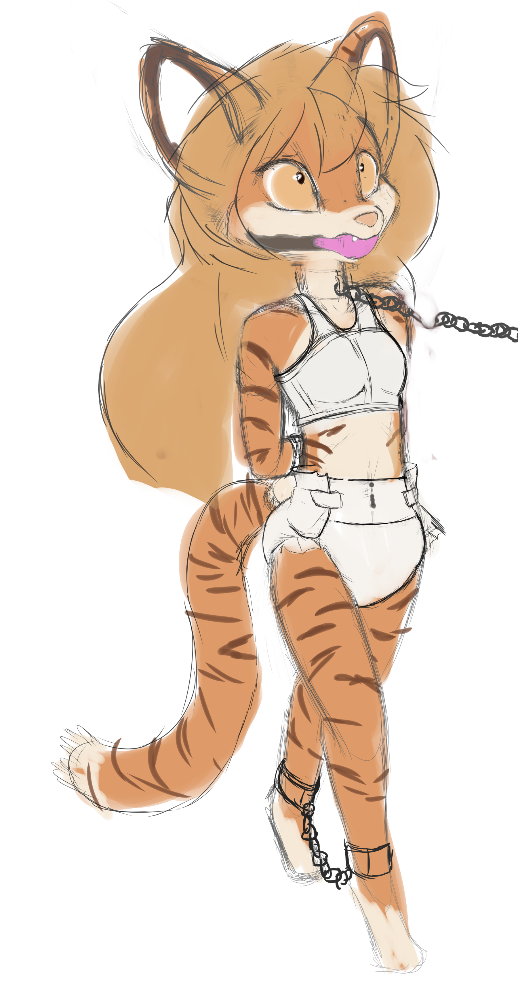 4482122_Smolfoks_tiger.png