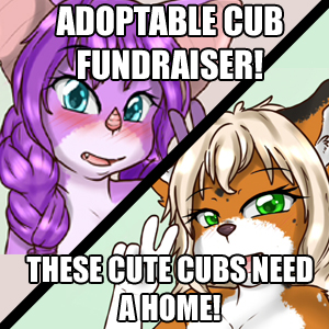 New Electronics Fundraiser!
