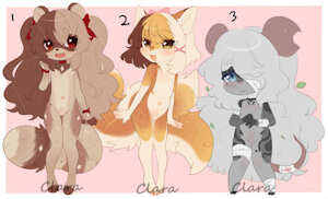 Adopts:Closed