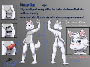 Era Reference Sheet!