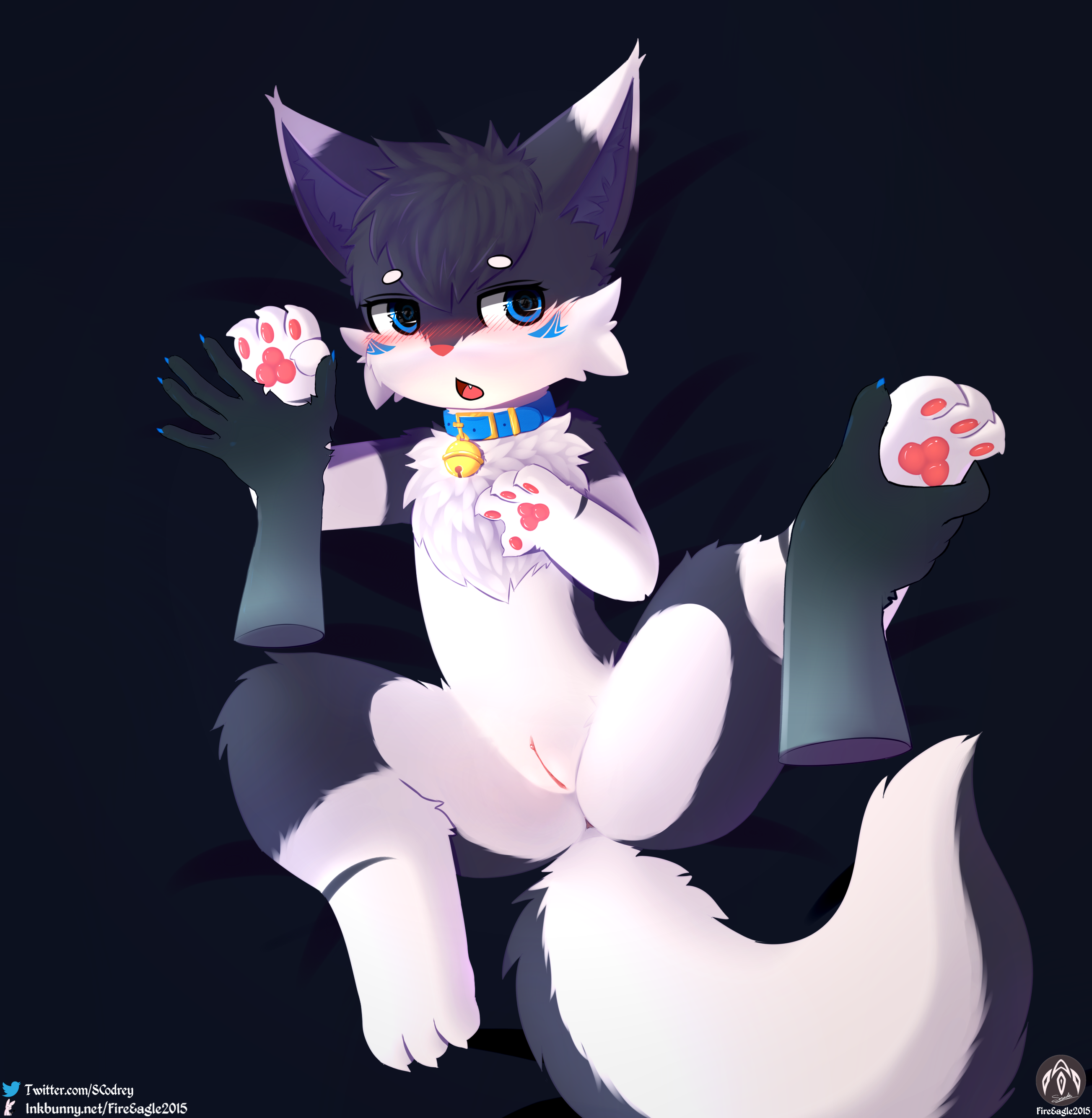 4492476_FireEagle2015_ruru_spread3.png
