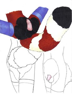 Panda Butts