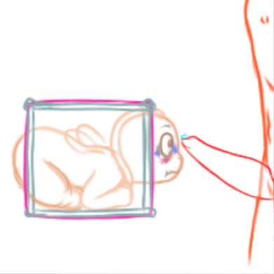 4495580_YacteruC1_export1684304734598.png