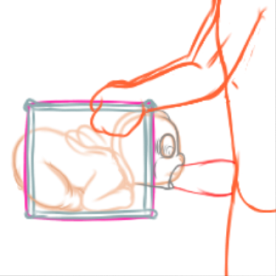4495584_YacteruC1_export1684304748991.png