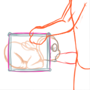 4495584_YacteruC1_export1684304748991.png