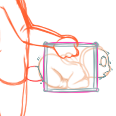 4495601_YacteruC1_export1685108799085.png