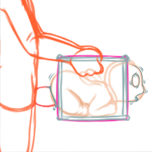 4495601_YacteruC1_export1685108799085.png