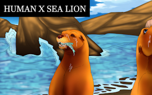 Fish For Fellatio