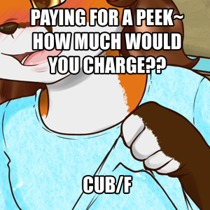 Paid to Peek YCH!