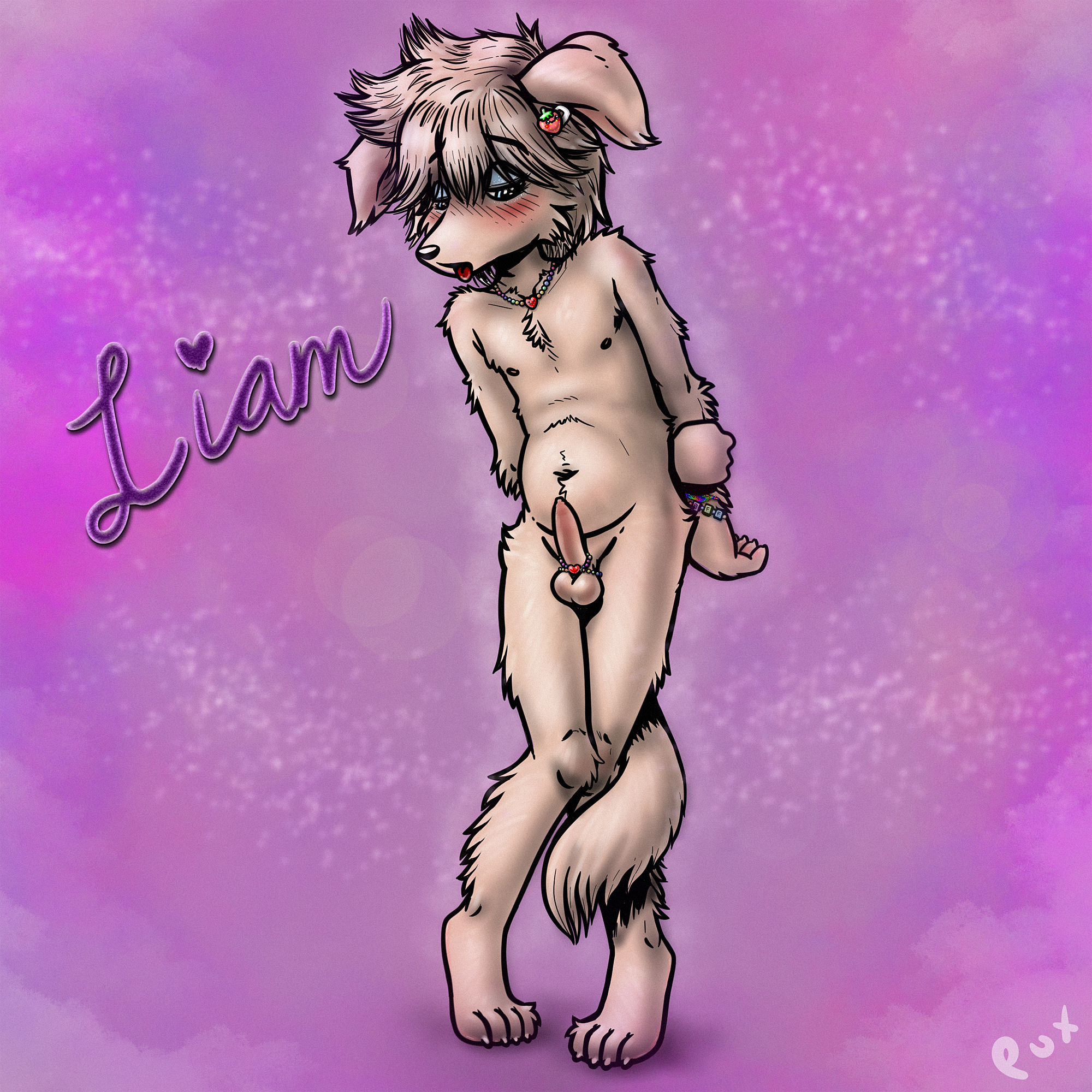 4516650_Pux_pux_liam1-12.png