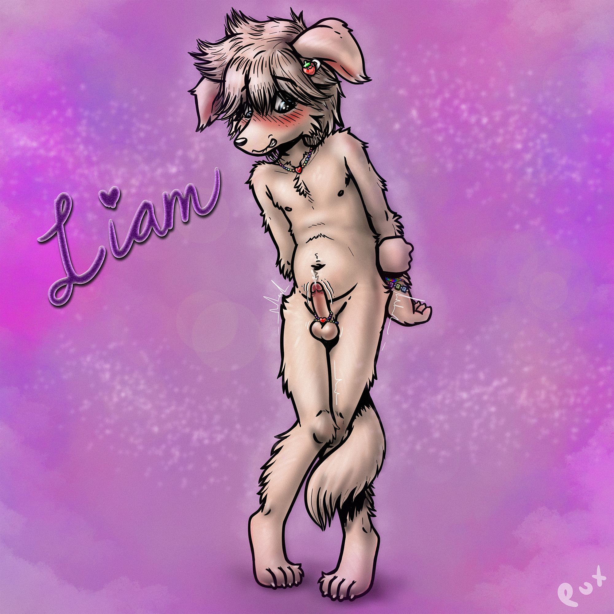 4516652_Pux_pux_liam1-13.png