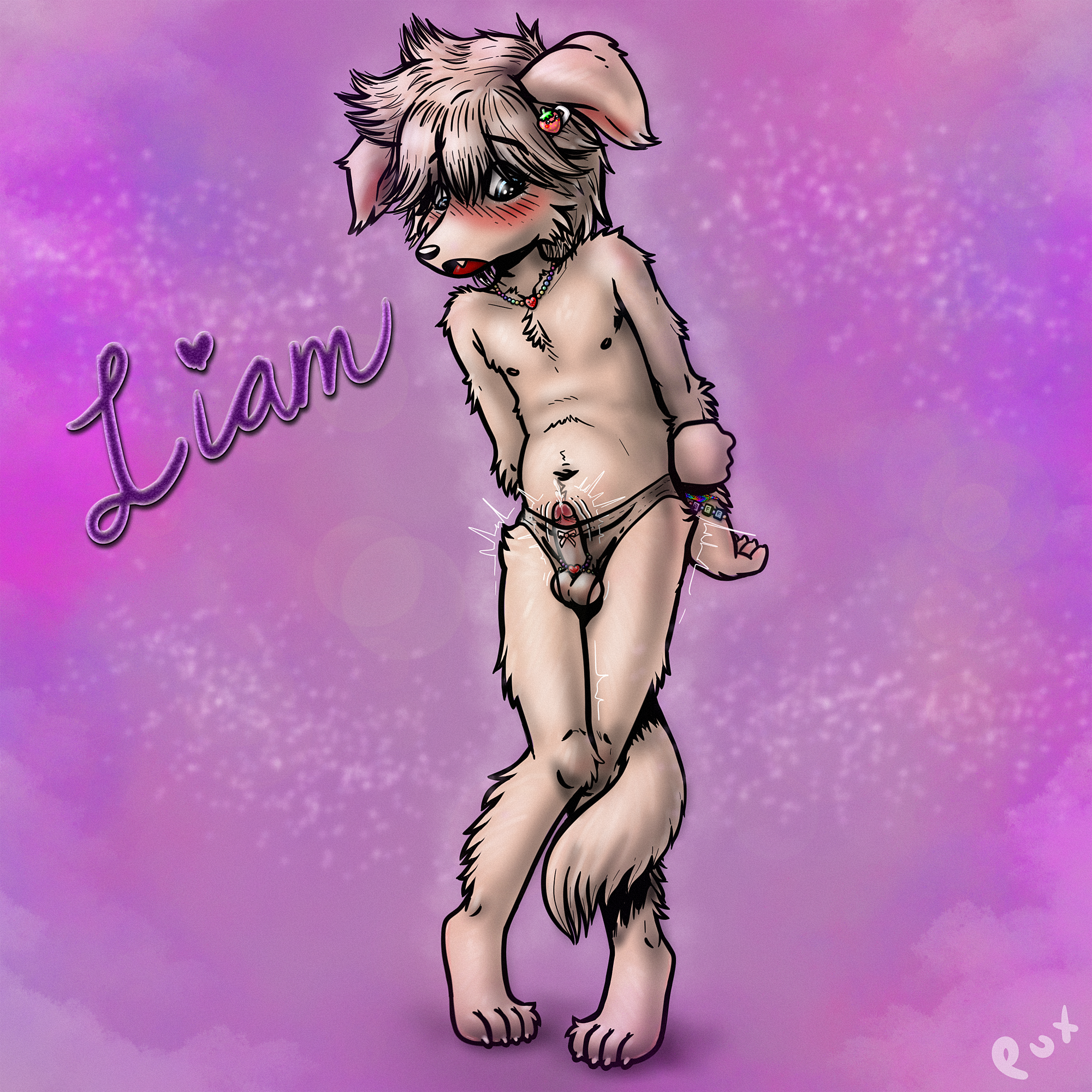 4516658_Pux_pux_liam1-14.png