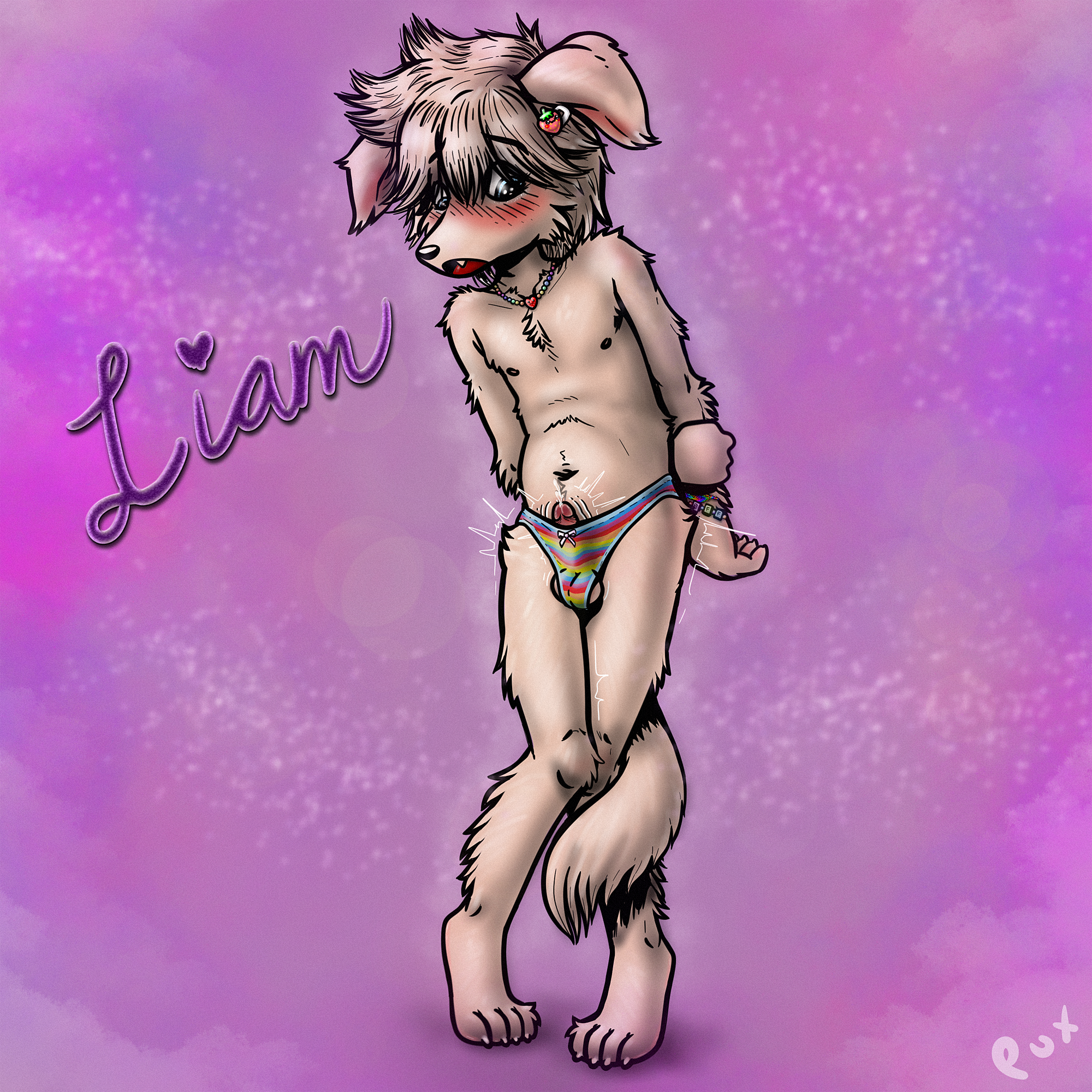 4516672_Pux_pux_liam1-15.png