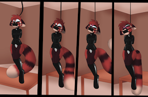 Hung Panda -CO-