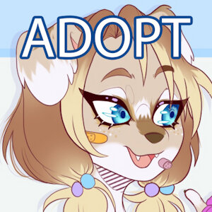 Adoptable: Skater Puppy