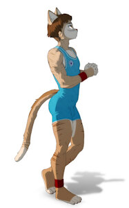 4527660_eldiman_cat-01062023.jpg